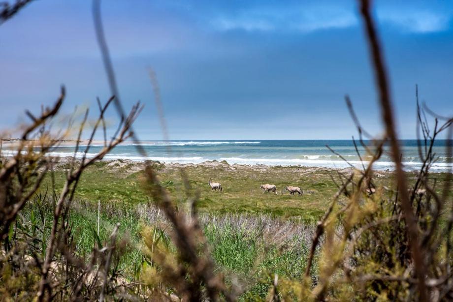 Shipwreck Lodge Mowebaai Exterior foto